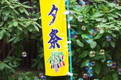 所澤神明社　七夕祭り