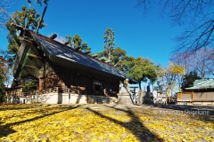 所澤神明社