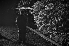 雨の日に着物で自撮り