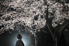 reiwa070404-011a_1