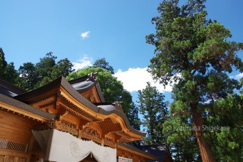 穂高神社　d20150721-032