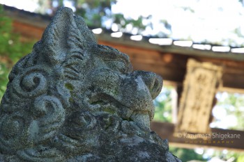 穂高神社　d20150721-071