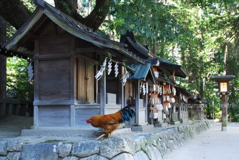 穂高神社　d20150721-074