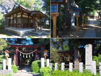 白鬚神社（埼玉県鶴ヶ島市） d20151025-009a