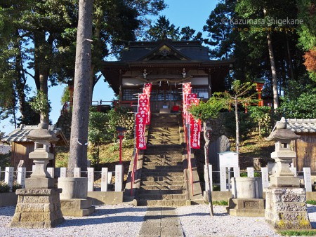 勝呂神社（埼玉県坂戸市） d20151025-059