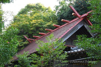 越生神社　d20151101-075