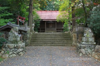 越生神社　d20151101-139