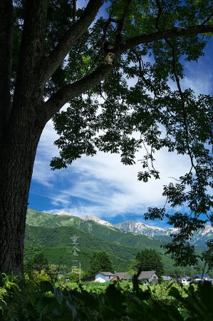 飯田神明社から白馬三山