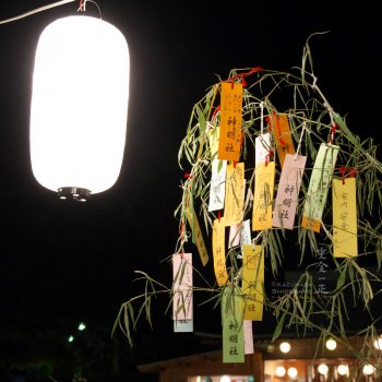 所澤神明社　七夕祭