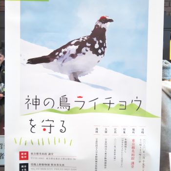 恩賜上野動物園　講演会「神の鳥ライチョウを守る」